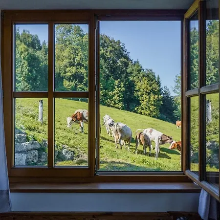 Appartement Urlaub Am Bauernhof Anzerberg Salzkammergut