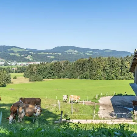Urlaub Am Bauernhof Anzerberg Salzkammergut * Hof bei Salzburg