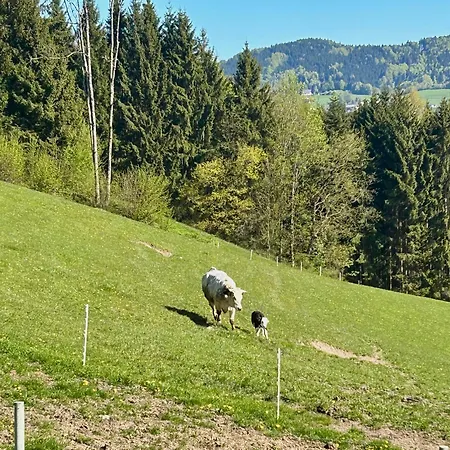 Urlaub Am Bauernhof Anzerberg Salzkammergut Hof bei Salzburg